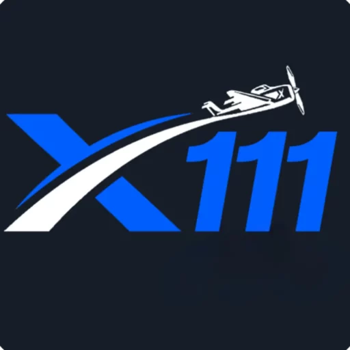 x111 favicon image